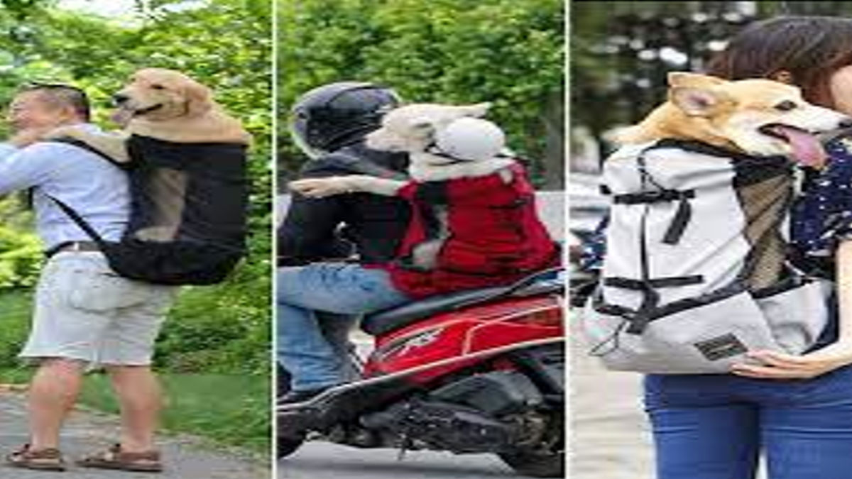 K9 Sport Sack